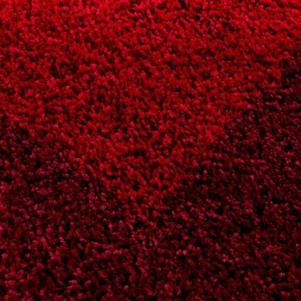 Teppich Hochflor Esszimmer Rot mit Bordre